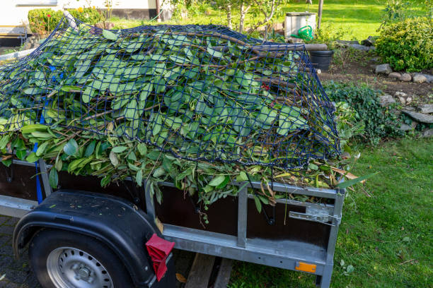 Best Same-Day Junk Removal Services  in Spicer, MN